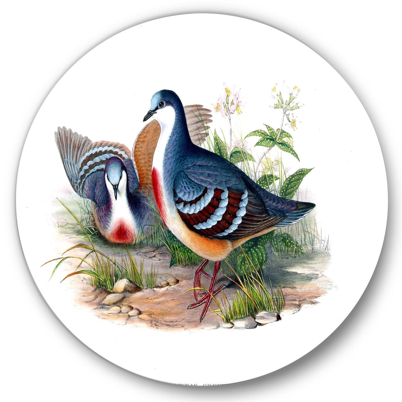 Designart - Vintage Birds In The Wild IV - Traditional Metal Circle Wall Art